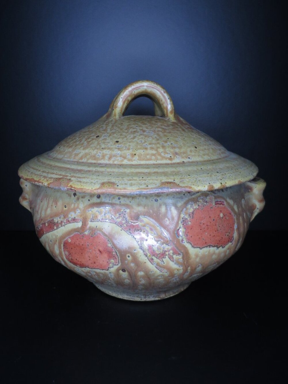 Covered Ceramic Bowl